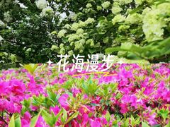 -无锡梅园公园