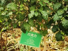 -南宫五洲植物乐园