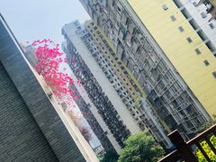 -西木兔(大圆祥店)