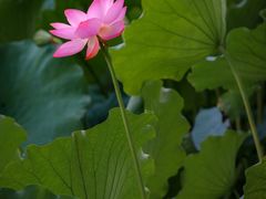 -北山街历史文化街区