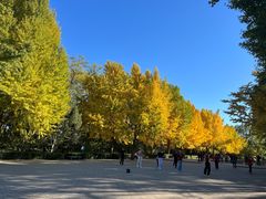 -玲珑塔公园