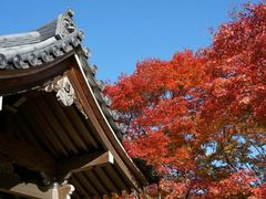-常寂光寺
