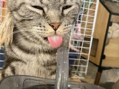 -平行世界·猫咖(首经贸店)