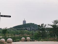 -永定河休闲森林公园