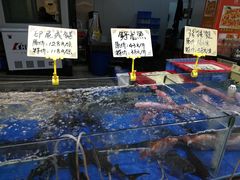 水产区-蚝得喜海鲜(东城店)