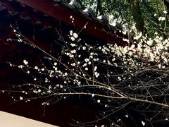 -韬光茶庵