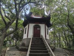 -上海佘山国家森林公园天马山园