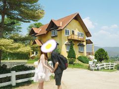 -黄色小屋