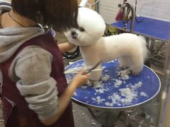 -PETKIT小佩宠物(古北店)