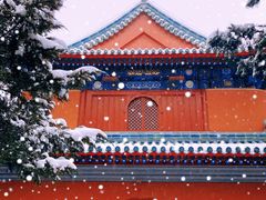 -月坛公园