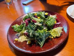 田园时蔬沙拉-布拉格餐厅· 中欧捷克菜(全国首店)