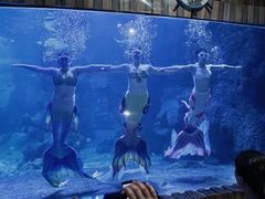 -左海海底世界