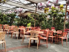 -南宫五洲植物乐园