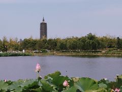 -西海子公园