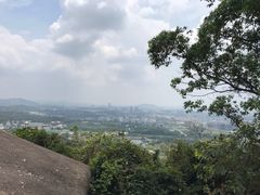 -火炉山森林公园