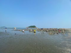 -盐洲岛