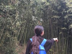 -紫竹院公园冰场