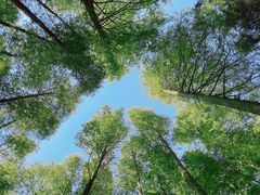 -山王坪喀斯特国家生态公园