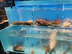 -山海•蒸汽活海鲜自助(皇庭广场店)