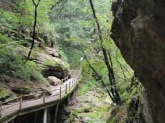 -牛背梁国家森林公园