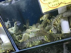 -蚝专家(北滘店)