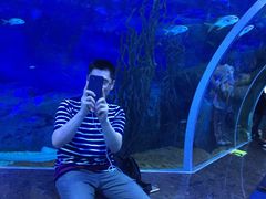 -多彩贵州城极地海洋世界