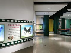 -上海昆虫博物馆