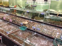 -新海利海鲜城·41年珠海老字号(夏湾店)