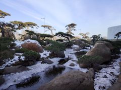 -罗红摄影艺术馆