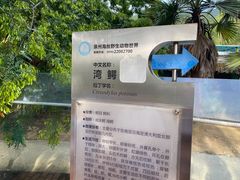 -泉州海丝野生动物世界