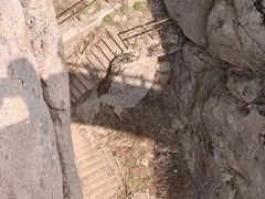 -崂山巨峰游览区