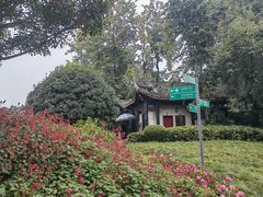 -桂湖森林公园