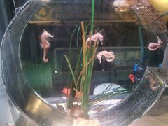 -沈阳海洋探索中心