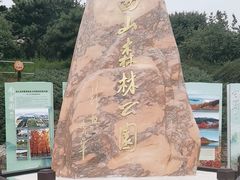 -北京西山国家森林公园