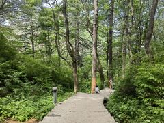 -华山风景名胜区