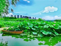 -前关湿地公园