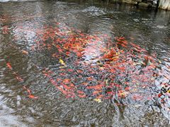 -水磨沟公园