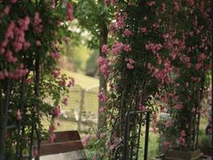 -广富林郊野公园