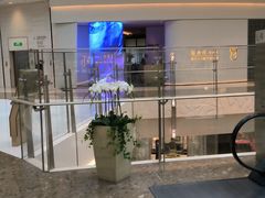 -柿合缘新京菜(国金中心商场店)