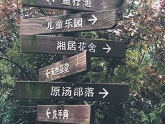 -杭州第一世界大酒店·云曼温泉