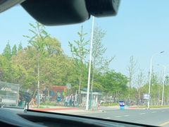 -上海滨江森林公园