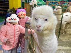 -上海大自然野生昆虫馆(东方明珠·爬宠昆虫探索中心)