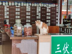 -Cafe on warm(丹霞店)