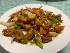 -宝发园名菜馆