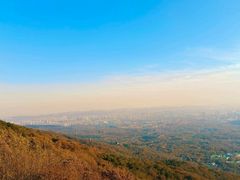 -紫金山山顶公园