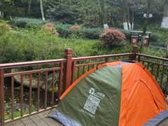 -杭州半山国家森林公园