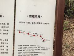 -羚羊峡古栈道森林公园