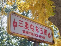 -三里屯东五街银杏大道