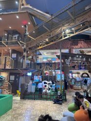 -卡通尼·Safari非洲探索乐园·生日会(金桥国际商业广场店)