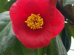 -麦当劳(中山路店)